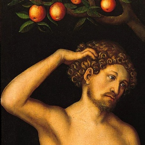 Adam by Lucas Cranach the Elder